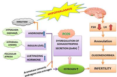 Polycystic Ovary Syndrome: A Disorder of Reproductive Age, Its Pathogenesis, and a Discussion on the Emerging Role of Herbal Remedies